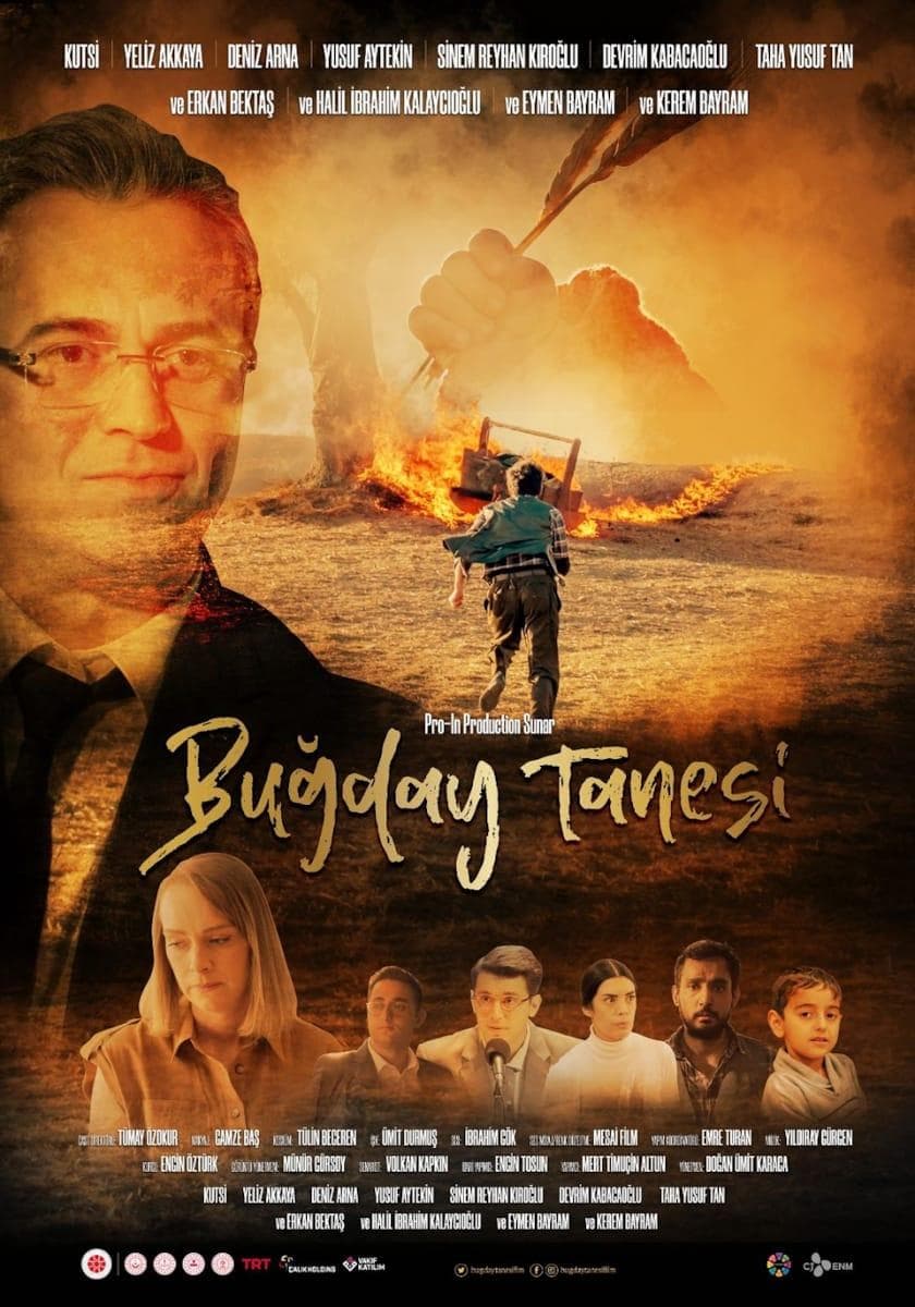 Bugday Tanesi