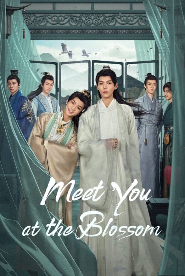 Meet you at the blossom