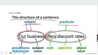 Sentence Type