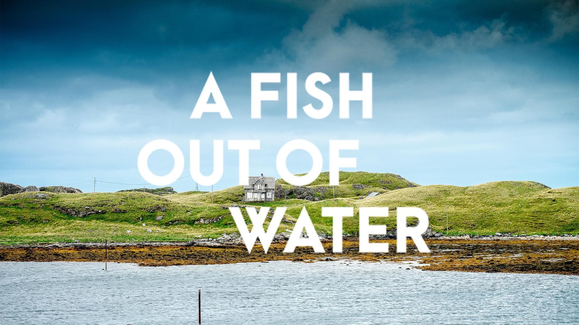 A Fish out of Water
