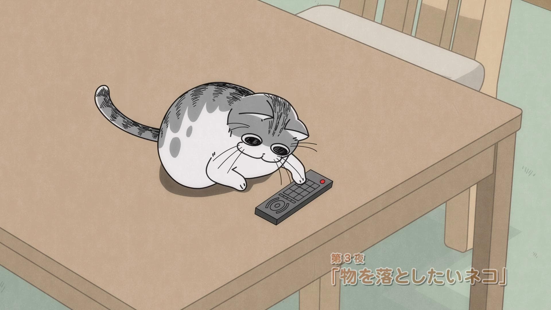 Nights with a Cat S1-S2