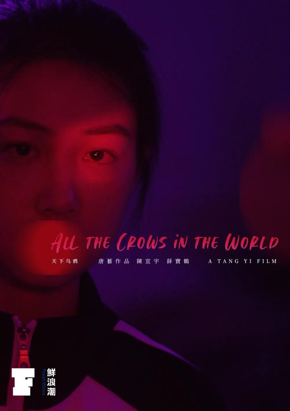 All the Crows in the World