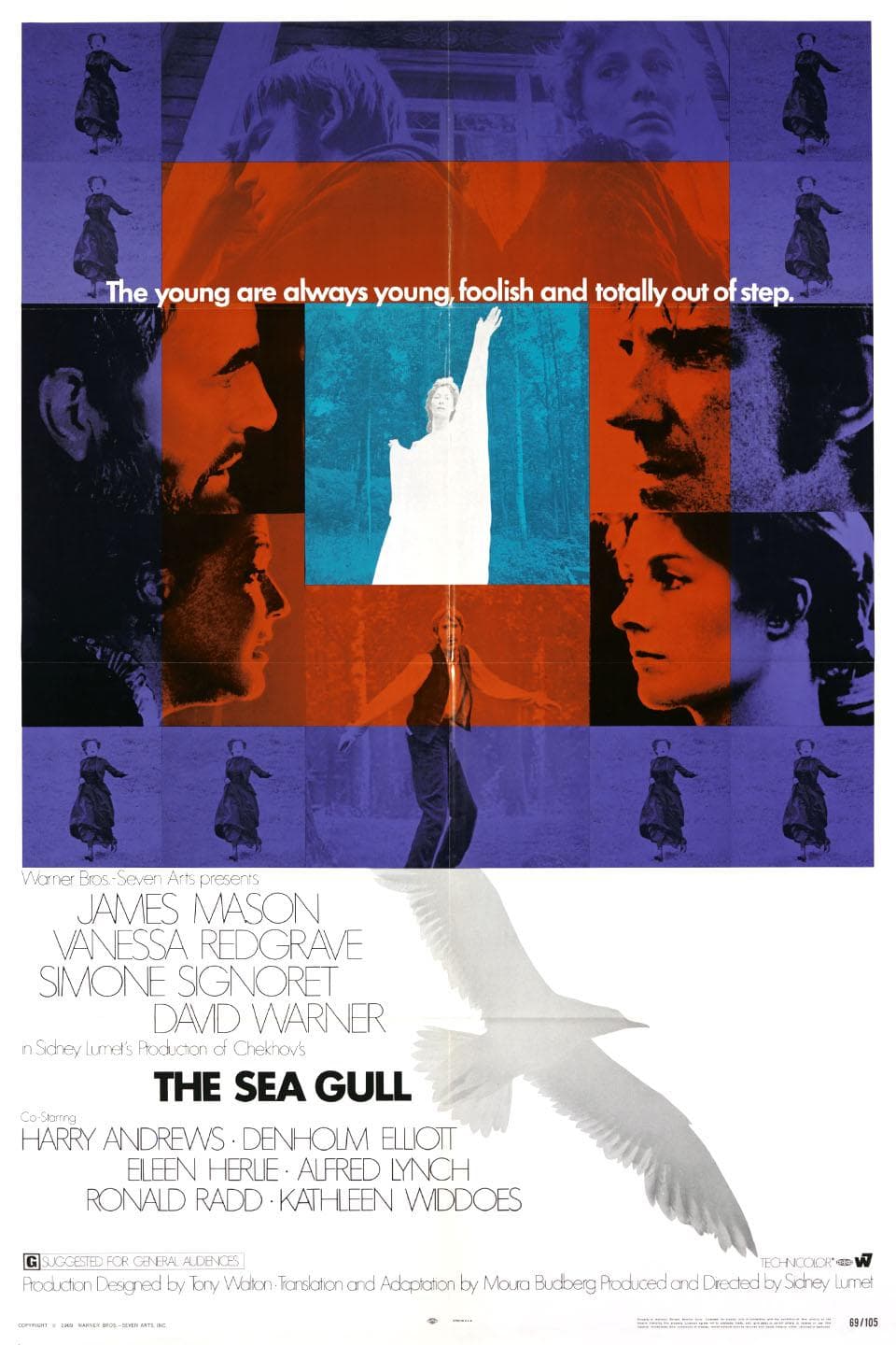 The Sea Gull