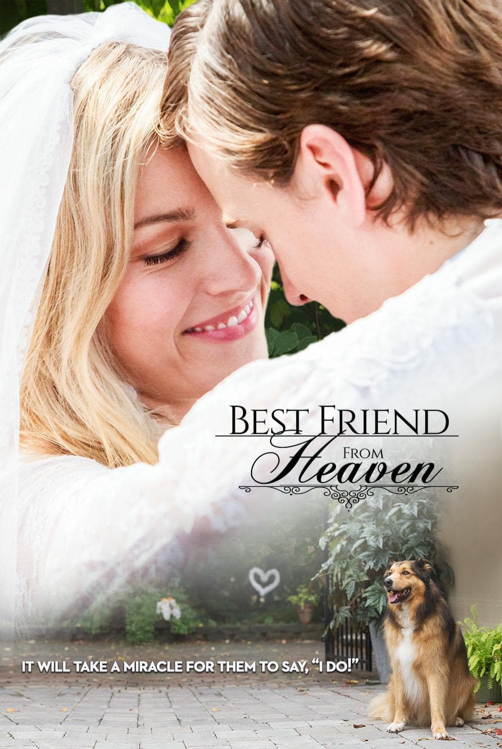 God's Best Friend