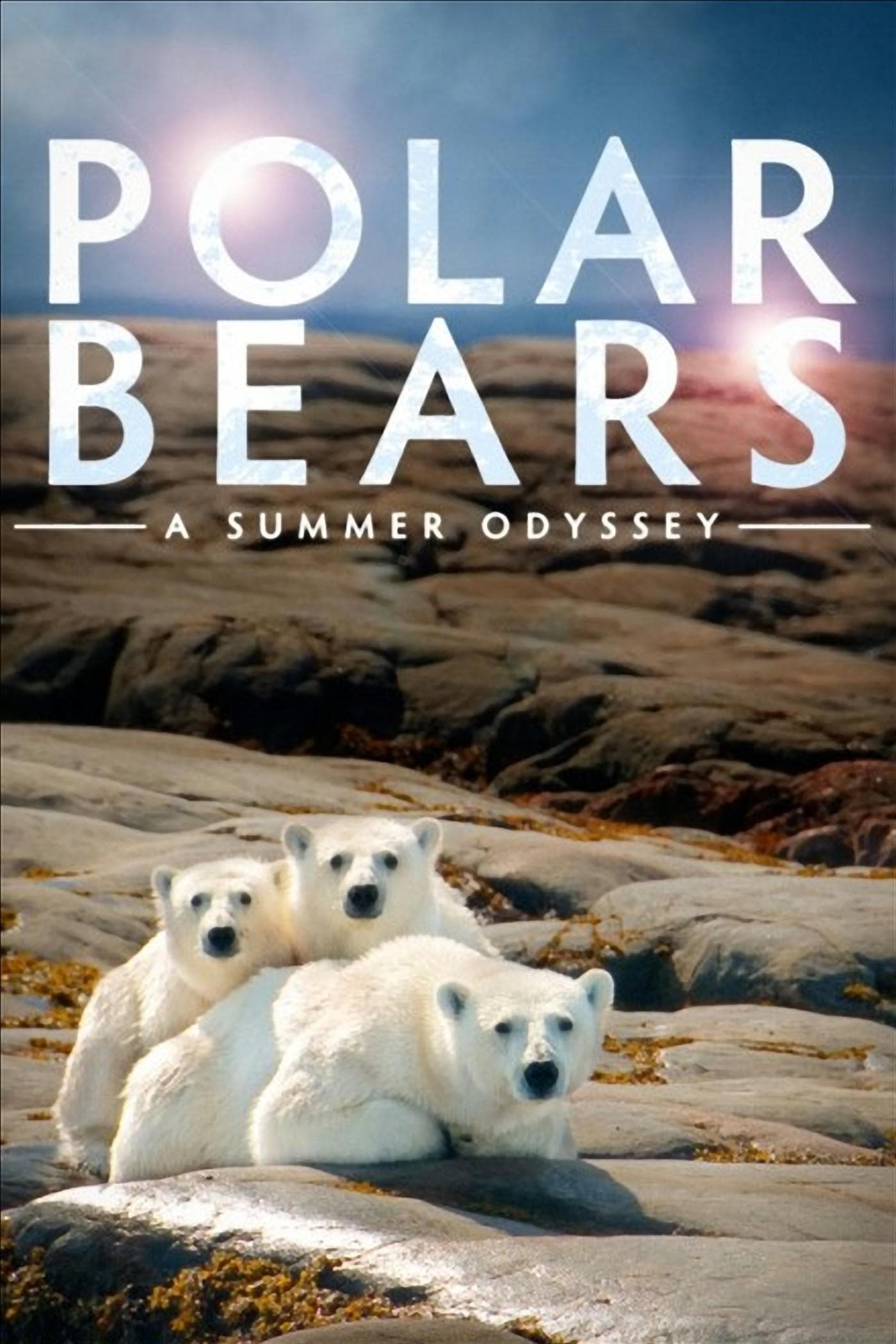 Ice Bear 3D