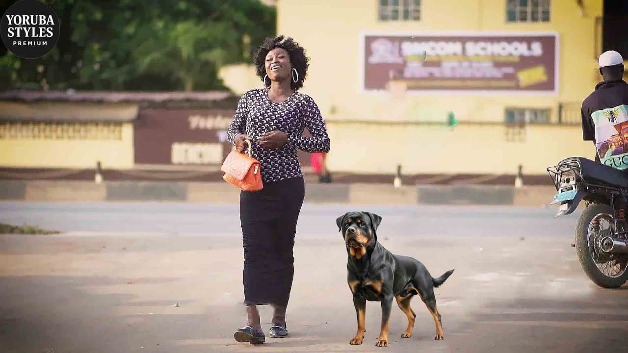 Iya Aja