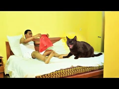 IBINU OLONGBO DUDU